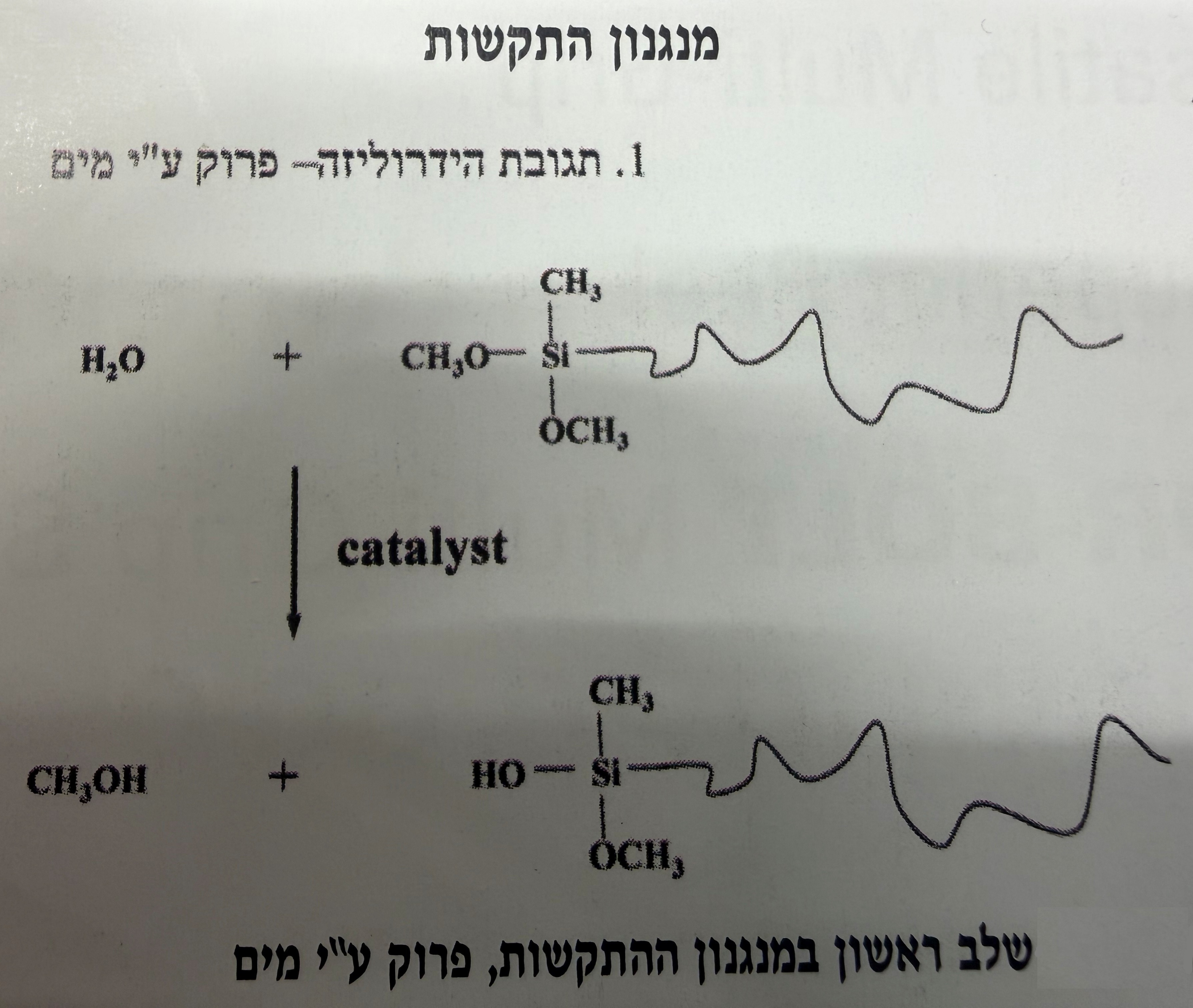 דבק MS Polymer דבק MS Polymer