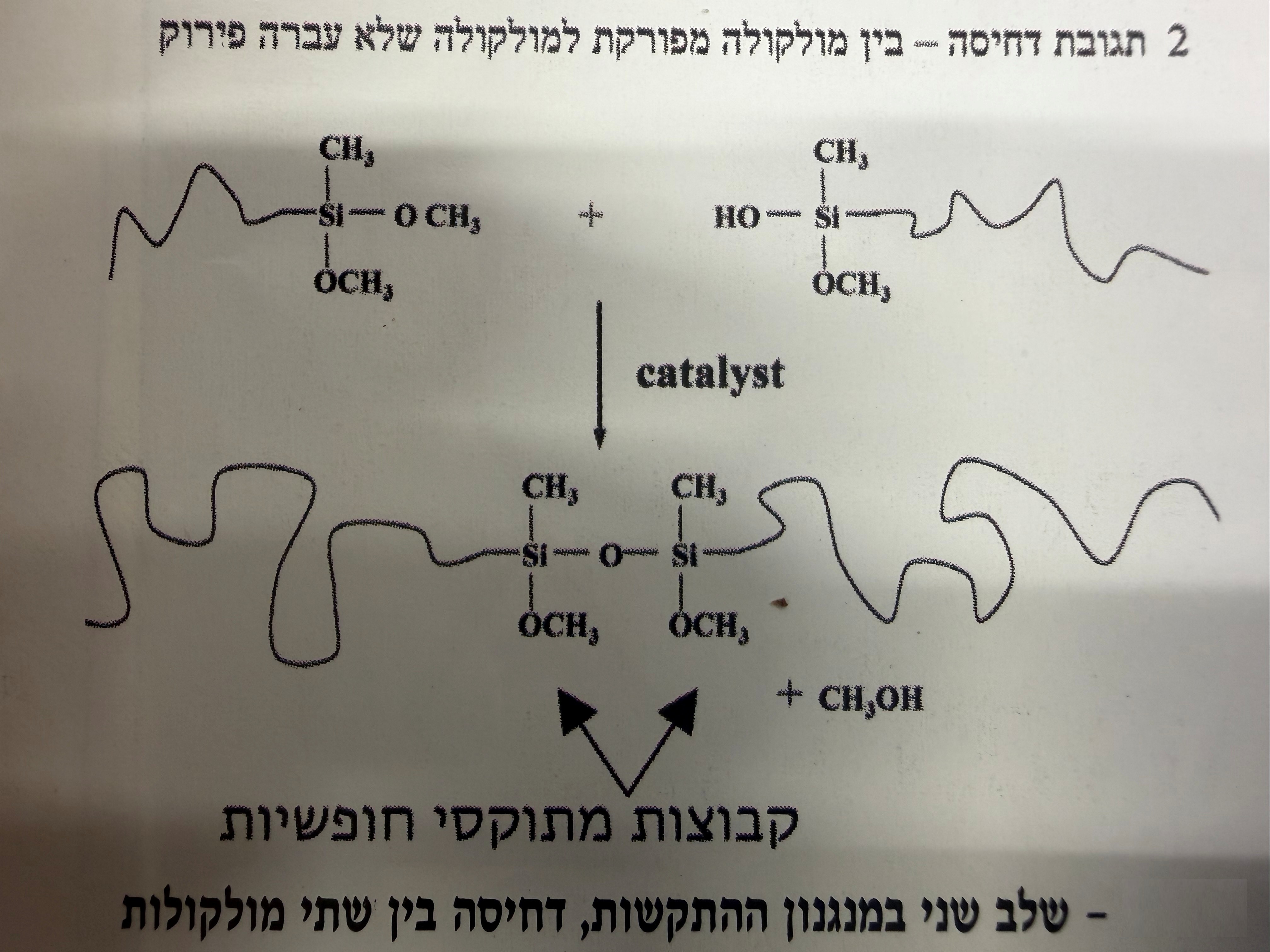 דבק MS Polymer דבק MS Polymer