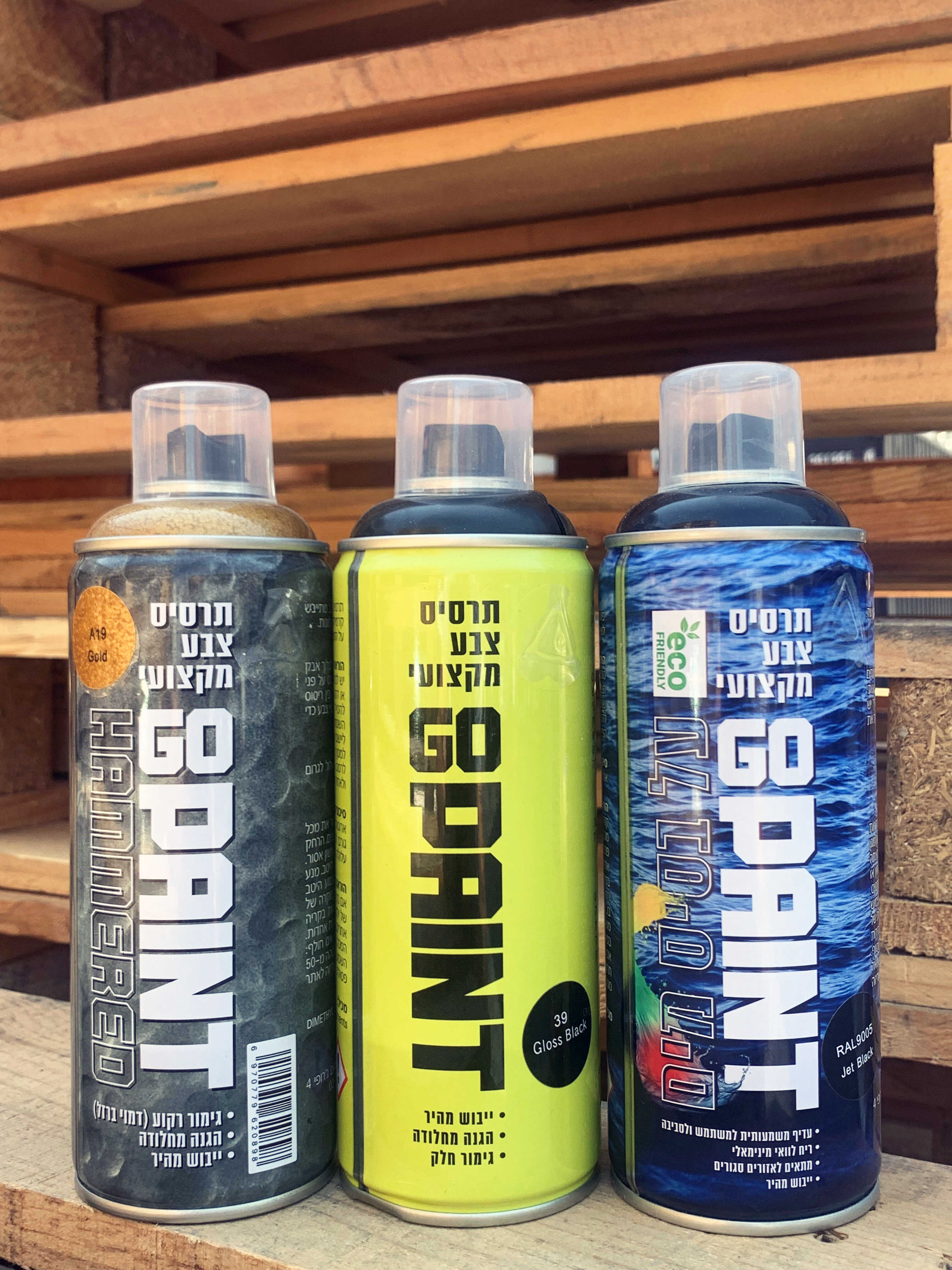 ספריי צבע Go Paint