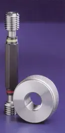 מדיד טבעת (נקבה)