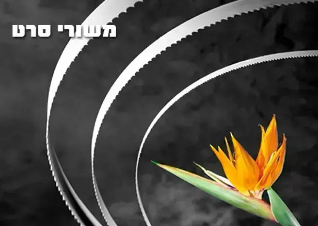 משורי סרט